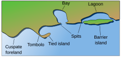 Coastal and oceanic landforms
