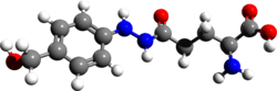Ball and stick model of agaritine ((2S)-2-amino)