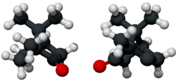 Ball and stick model of camphor (both enantiomers).