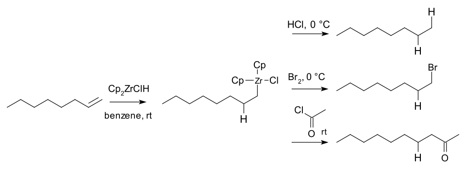 Alkene hydrozirconation Schwarz 1974