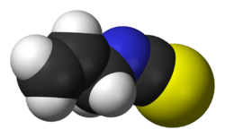 Space-filling model of allyl isothiocyanate