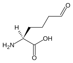 Skeletal formula of zwitterion