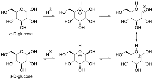 Widely proposed arrow-pushing mechanism for acid-catalyzed dynamic equilibrium between the α- and β- anomers of D-glucopyranose