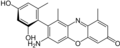 α-amino orcein