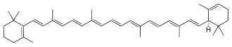 Skeletal formula