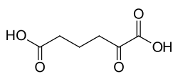 2D representation of the chemical structure of 2-Oxoadipic acid .