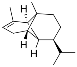 α-copaene