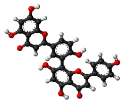 Ball-and-stick model of amentoflavone
