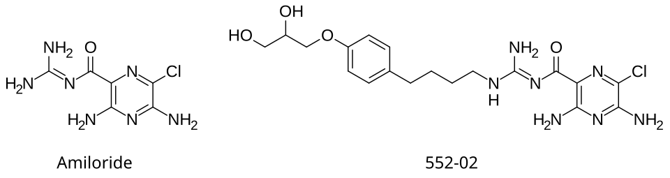 Side-by-side comparison of the chemical structures of amiloride and one of its analogues, research name 552-02 (N-(3,5-diamino-6-chloropyrazine-2-carbonyl)-N'-4-[4-(2,3-dihydroxypropoxy)phenyl]butyl-guanidine methanesulfonate).