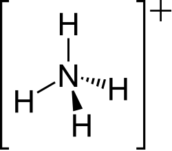 2-D skeletal version of the ammonium ion