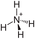 The ammonium cation