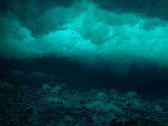 Anchor ice on the seafloor at McMurdo Sound, Antarctica.