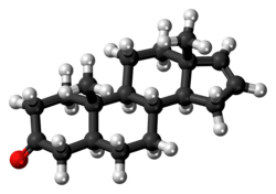 Ball-and-stick model of the androstenone molecule