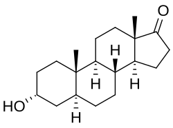 Skeletal formula of androsterone