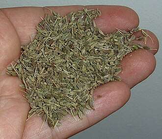 Fruits in hand for scale