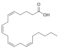 Structural formula of arachidonic acid