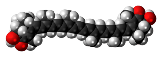 Space-filling model of the astaxanthin molecule