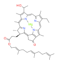 bacteriochlorophyll c