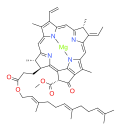 bacteriochlorophyll g