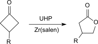Baeyer-Villiger-Oxidation mit UHP