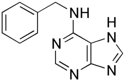Skeletal formula of 6-benzylaminopurine