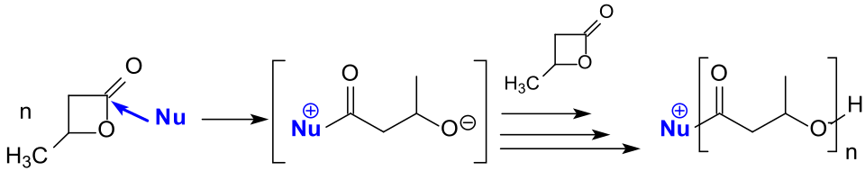 Ringöffnende Polymerisation von β-BL mit N-heterocyclischen Carbenen (NHCs)