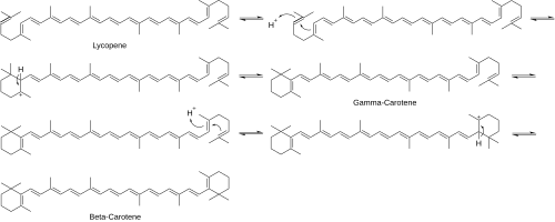 Beta-Carotene Mechanism