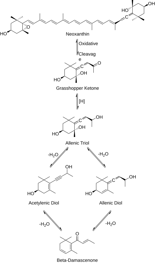 Beta-damascenone synthesis