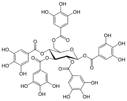Chemical structure of pentagalloylglucose