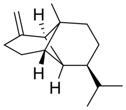 β-copaene