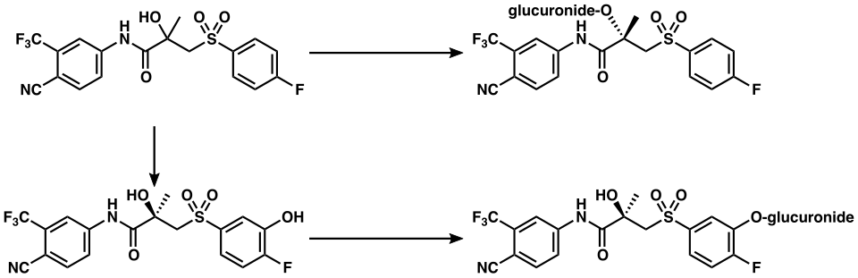 Graphic of bicalutamide metabolism in humans