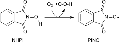 Formation of the PINO radical