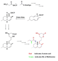 Biosynthesis using Diels-Alder catalyzed cyclization