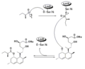 Biosynthesis using broadly specific acyltransferase