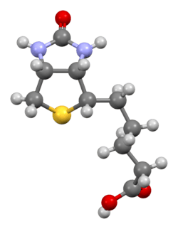 Ball-and-stick model of the Biotin molecule