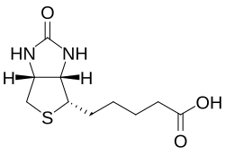 Skeletal formula of biotin