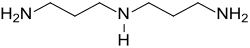 Skeletal formula of norspermidine