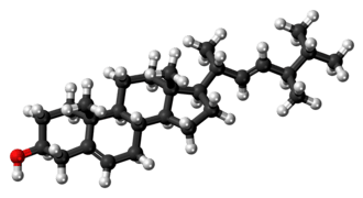 Ball-and-stick model of brassicasterol
