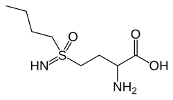 Skeletal formula of buthionine sulfoximine