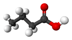 Space filling model of butyric acid