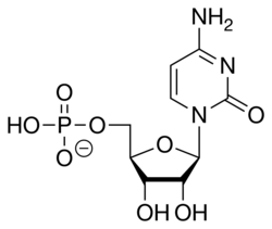 Skeletal formula of cytidine monophosphate as an anion (1- charge)