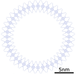 A nanoring of 40 porphyrin molecules, model