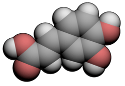 3D space filling model of caffeic acid