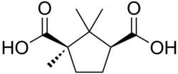 Skeletal formula of camphoric acid