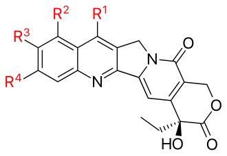 Camptothecin with radicals