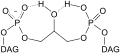 Cardiolipin bicyclic structure