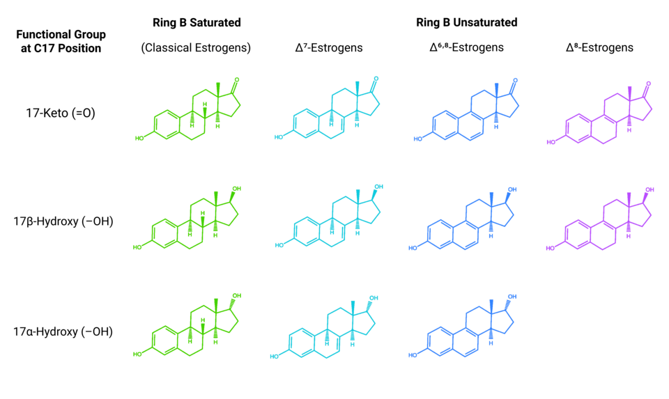 Chemical structures of equine estrogens