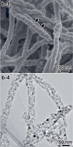 SEM (top) and TEM (bottom) images of chiral TiO2 nanofibers[84]