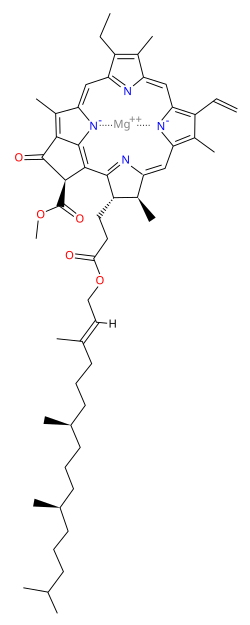 Structure of chlorophyll a