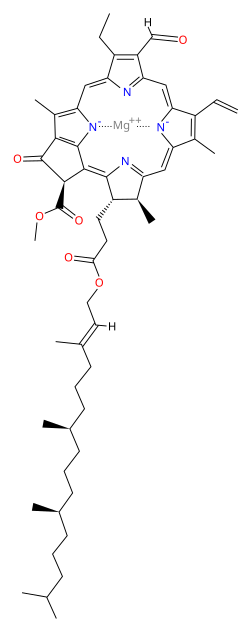 Structure of β-Chlorophyll